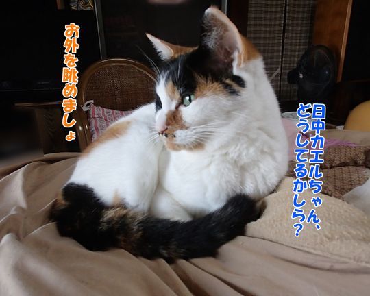 250620_01.jpg