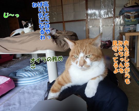 250620_02.jpg
